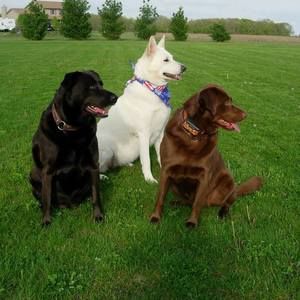 Meet your Posher, Debbie